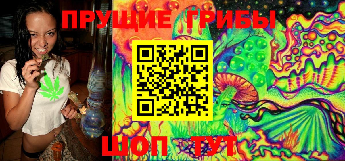 Псилоцибиновые грибы прущие грибы  Вход с VPN  Нижнекамск 