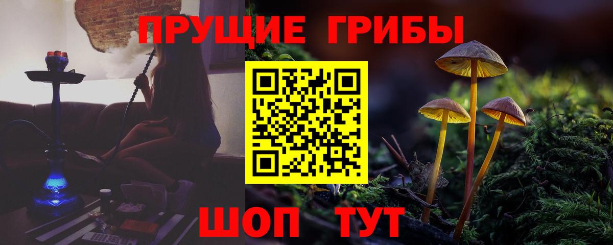 Псилоцибиновые грибы Psilocybine cubensis Нижнекамск